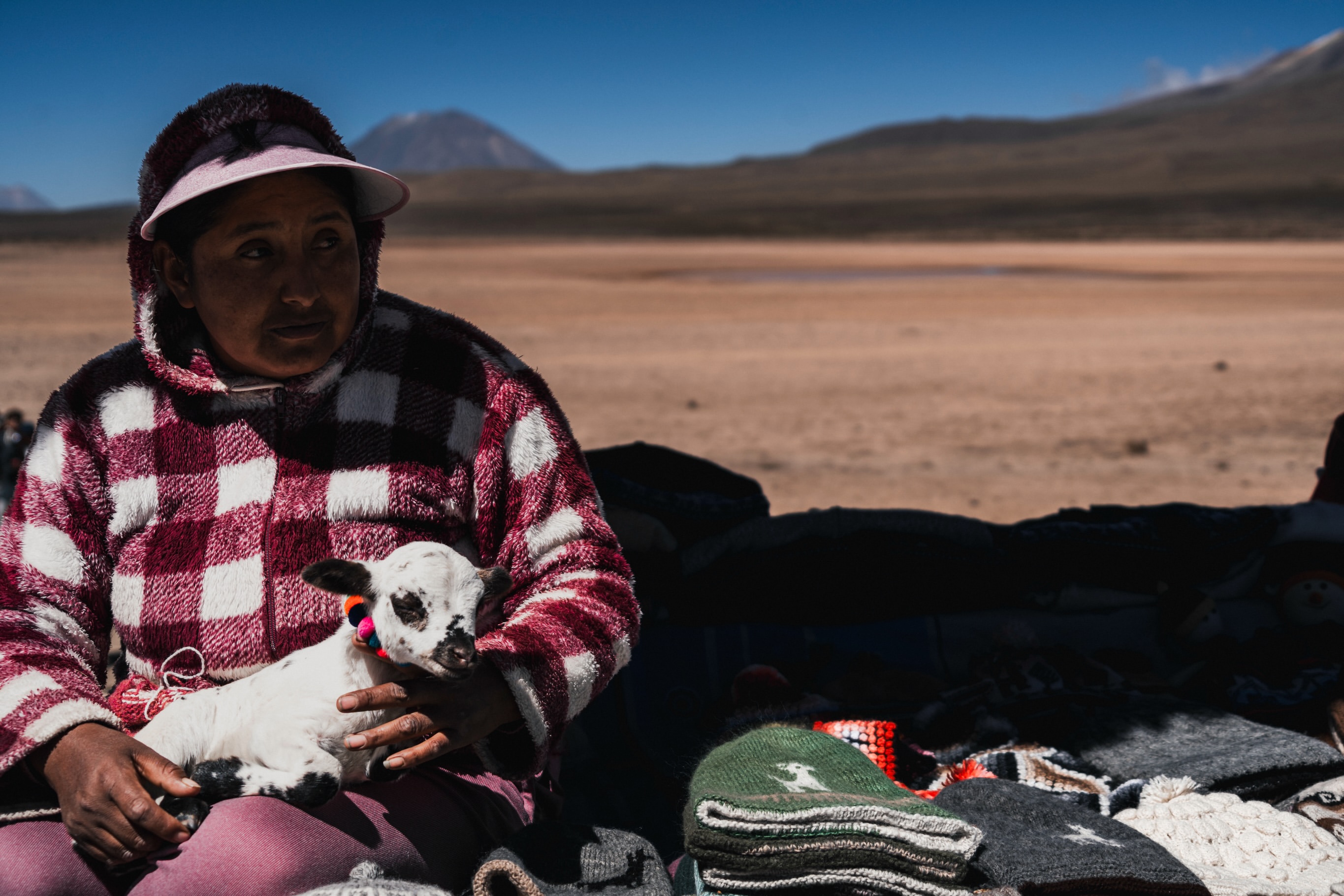 Andean woman holding a young alpaca