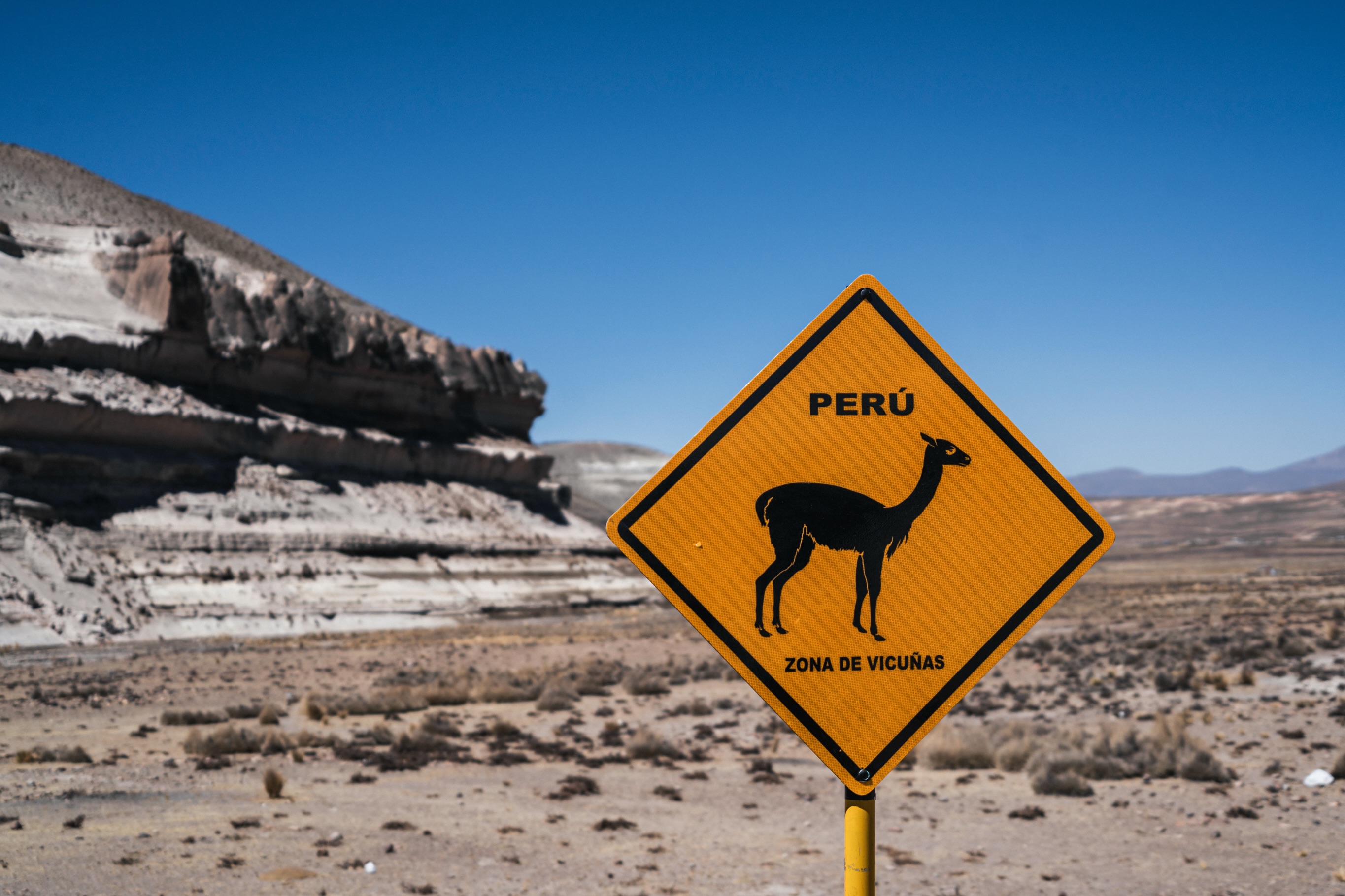 Vicuña wildlife crossing sign in Peru